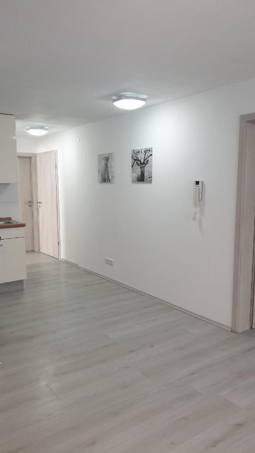 Komfortable Ferienwohnung Waghäusel Exteriér fotografie